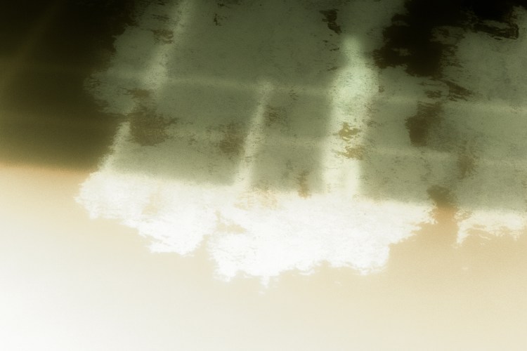 Shadowland - Jaime Korbee